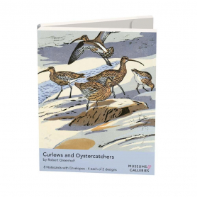 NOTECARD Curlews And Oystercatchers|Museums & Galleries
