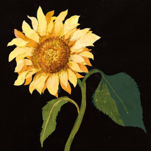 NOTECARD Flowers By Mary Delany