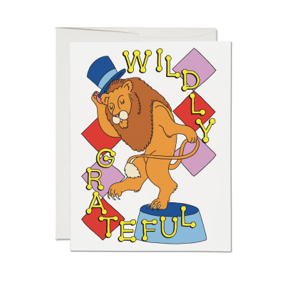 Wildly Grateful Thank You boxed set|Red Cap Cards