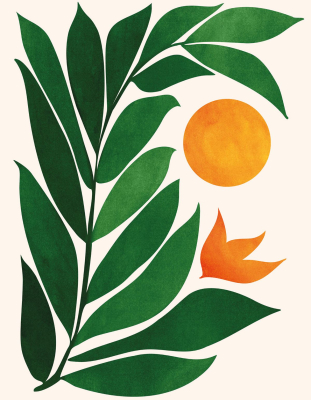 Tropical Forest Sunset