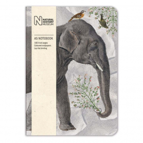 NOTEBOOK Elephant|Museums & Galleries