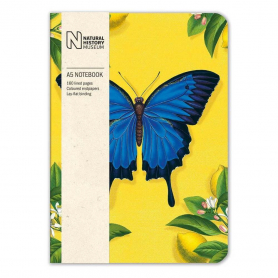 NOTEBOOK Ulysses Butterfly|Museums & Galleries