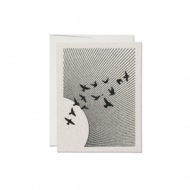 Flock Everyday|Red Cap Cards