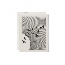 Flock Everyday boxed set|Red Cap Cards