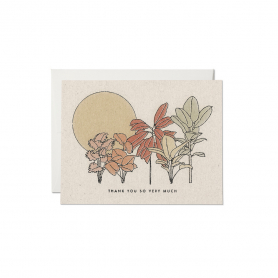 Desert Plants Thank You boxed set|Red Cap Cards