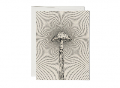 Shroom Everyday boxed set|Red Cap Cards