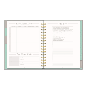 Countdown to Baby Undated Pregnancy Planner & Journal|Studio