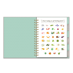 Countdown to Baby Undated Pregnancy Planner & Journal|Studio