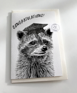 Graduation Raccoon