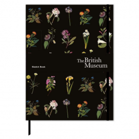 SKETCHBOOK Delany Flowers|Museums & Galleries