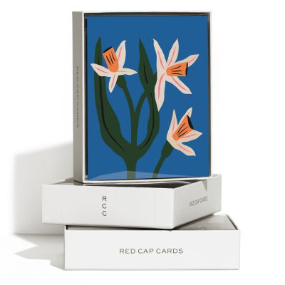 Blue Daffodils Everyday Boxed Set|Red Cap Cards