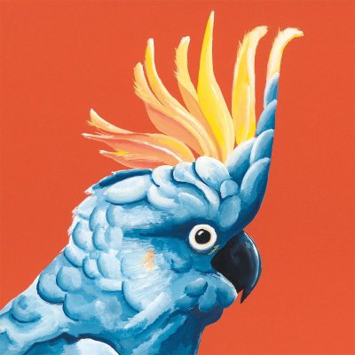 Blue Cockatoo