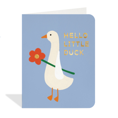 Little Duck