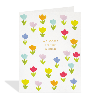 Welcome to the World