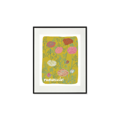 Ranunculus Art Print