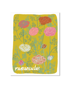 Ranunculus Art Print