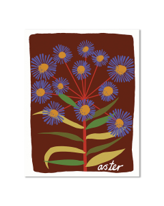 Aster Art Print