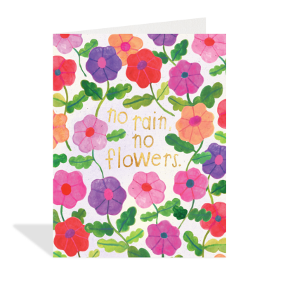 No Rain No Flowers