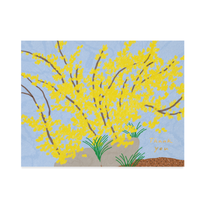 Forsythia Thank You