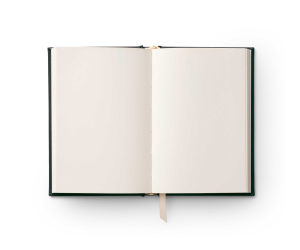 Birth Month Mini Embroidered Journal - June|Rifle Paper