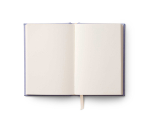 Birth Month Mini Embroidered Journal - December|Rifle Paper