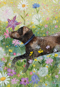 NOTECARD Coast and Country