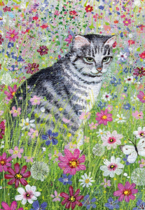 NOTECARD Coast and Country