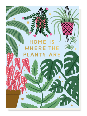 Home And Plants
