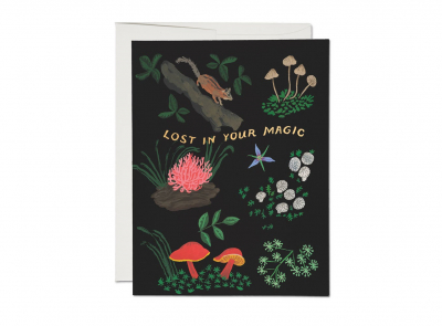 Lost in Your Magic|Red Cap Cards