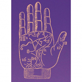 Palmistry|Museums & Galleries