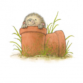 Hedgehog|Museums & Galleries