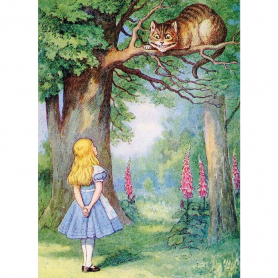 Alice And The Cheshire Cat|Museums & Galleries