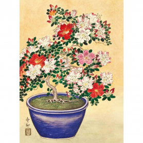 Blooming Azalea In A Blue Pot|Museums & Galleries