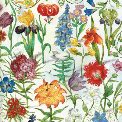 Floral Manuscript|Museums & Galleries