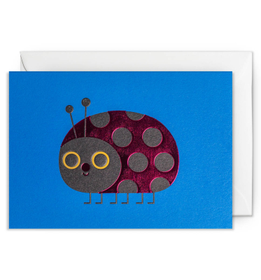Ladybird