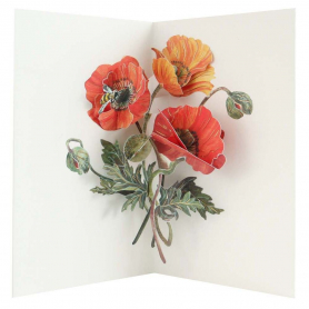 Poppies - Hiromi Takeda|UWP Luxe