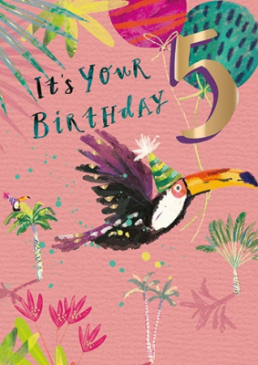 Five Today Toucan