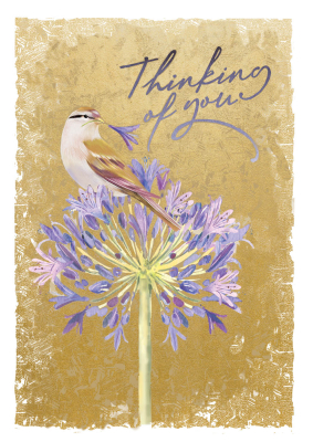 Thinking Of You Bird