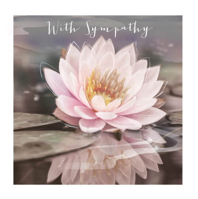 Sympathy Water Lily