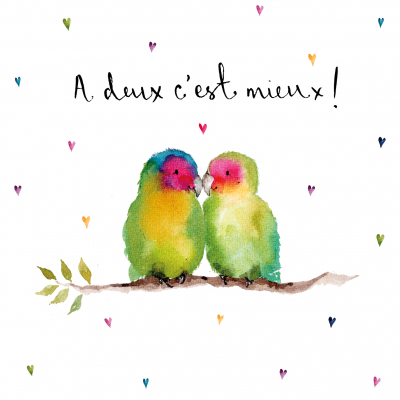 Love Birds Cest Mieux