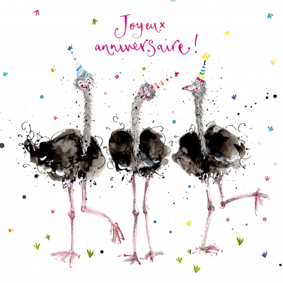 Ostriches Joyeux Anniversaire