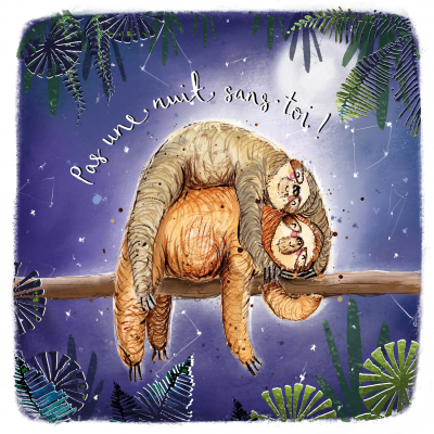 Sloth Couple Nuit