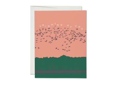 Birds In Flight|Red Cap Cards