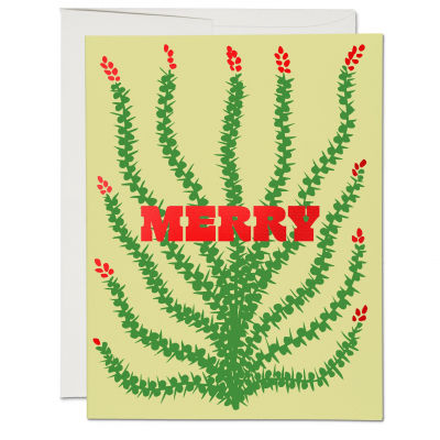BOX Holiday Cactus|Red Cap Cards