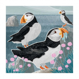 Puffins And Sea Thrift