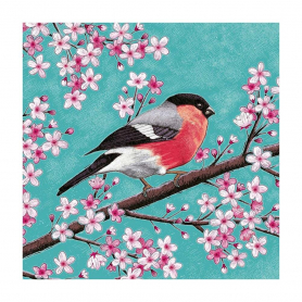 Bullfinch And Blossom