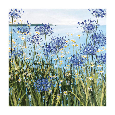 Daisies And Agapanthus