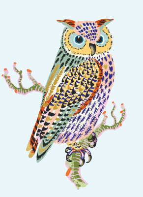 Owl