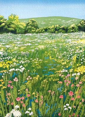 Wildflowers In Spring