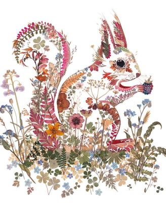 Wildwood Red Squirrel